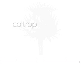 caltrop